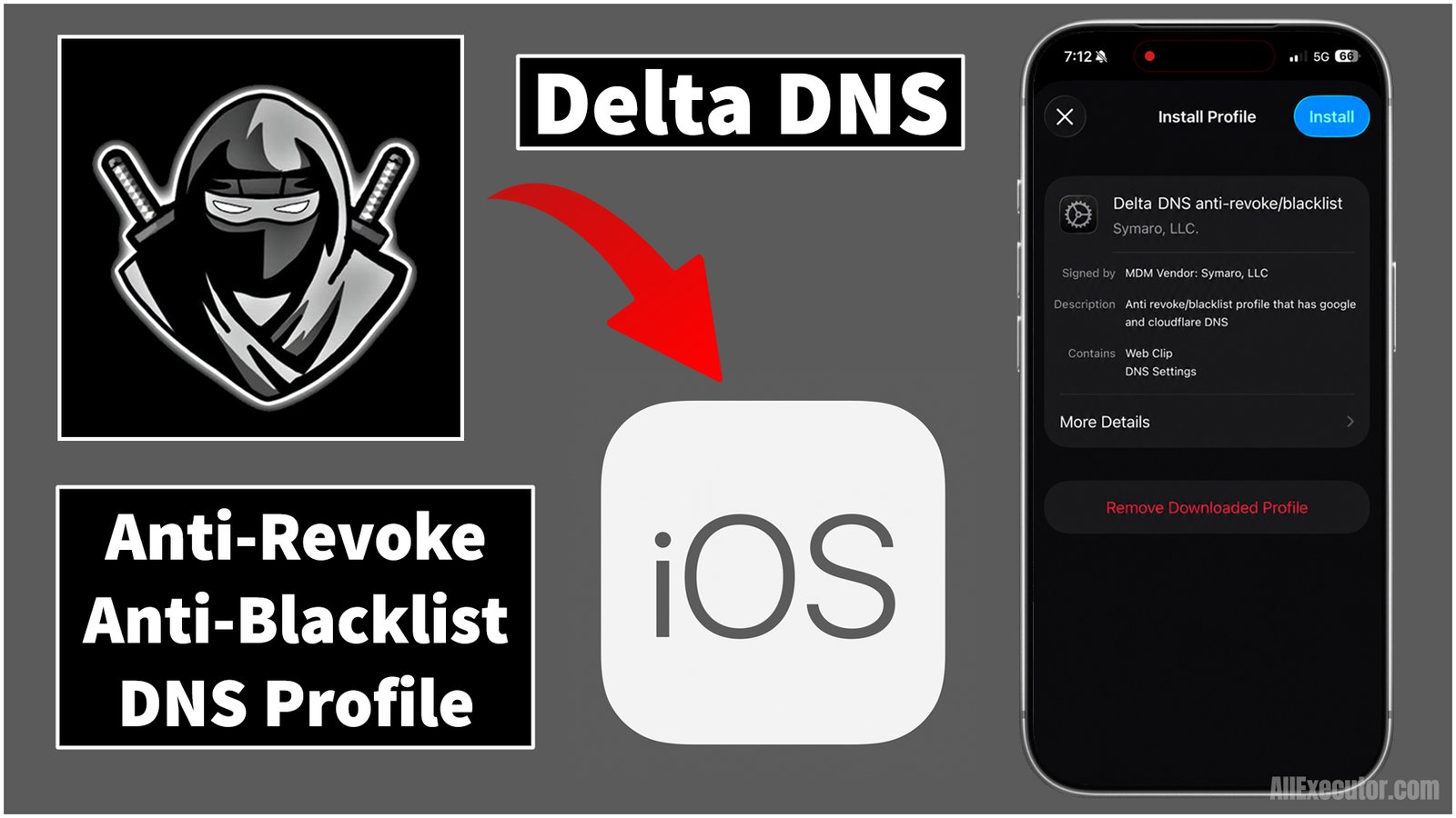 Delta DNS Profile